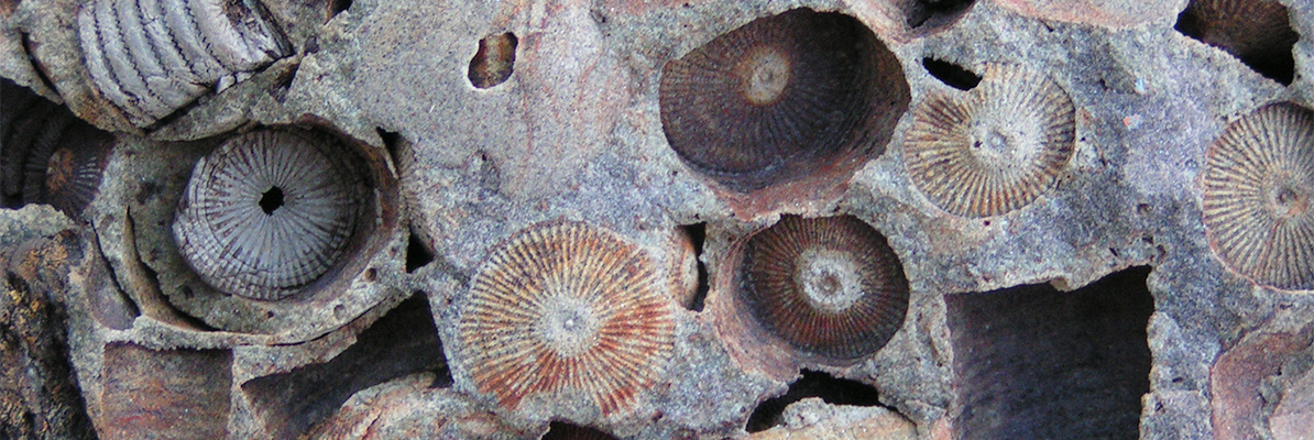 Der geologische Hintergrund